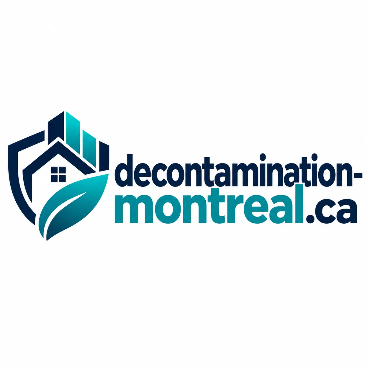 Logo decontamination-montreal.ca
