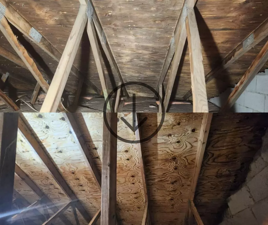 Technicien en décontamination équipé dans un logement résidentiel  à Longueuil